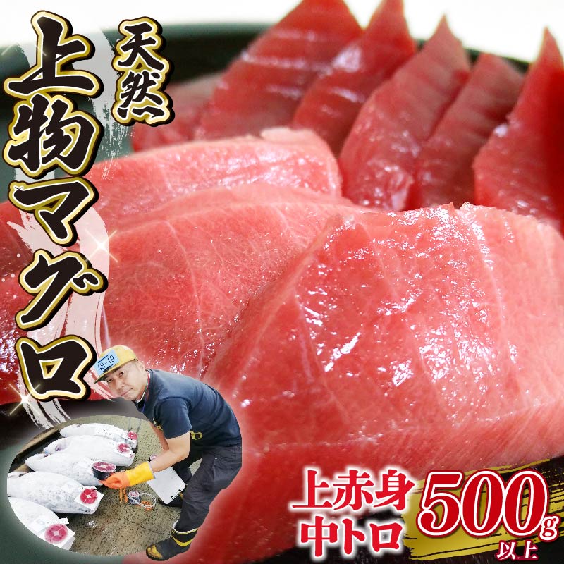 【ふるさと納税】 天然 上物 マグロ さく ( 上赤身 中トロ )セット 2種 計500g以上 冷凍 静岡県 藤枝市