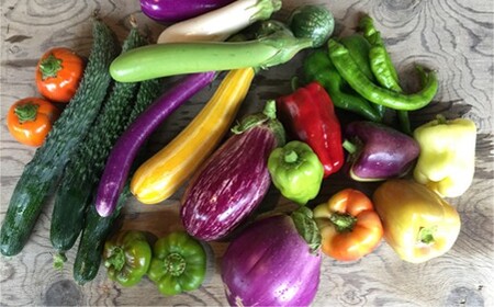 【定期便6回】ひばり農園の無農薬ワクワク野菜セット 《6月より発送開始》 【594】