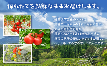 予約受付≪期間限定≫（2025年7月中旬頃から順次発送） 産地直送！飛騨下呂のレッドアイコ 1kg ミニトマト とまと トマト アイコ 新鮮 国産 【27-3】