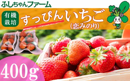 すっぴん有機いちご「恋みのり」400g(200g×2 パック)【 茨城県 つくば市 いちご 苺 イチゴ 恋みのり 有機栽培 無農薬 有機農業 オーガニック 自然 果実 フルーツ 果物 希少 】
