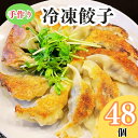 【ふるさと納税】手作り冷凍餃子48個入り 餃子の伍九
