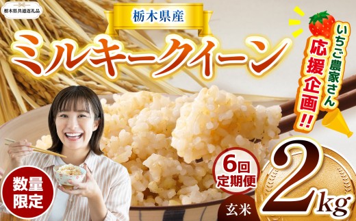 【栃木県共通返礼品】【先行予約】【定期6回】 訳あり 数量 限定 定期便 令和8年度産 ミルキークイーン 約 2kg | とちぎの星 ミルキークイーン 玄米 白米 ごはん おいしい ふるさと納税 栃木県 那珂川町 送料無料