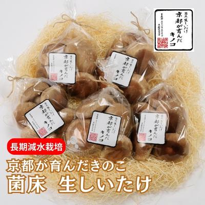 【ふるさと納税】しいたけ 京都が育んだきのこ 長期減水栽培 菌床 生しいたけ 特大サイズ 200g 5袋 椎茸 シイタケ きのこ キノコ 野菜 京都　 南丹市