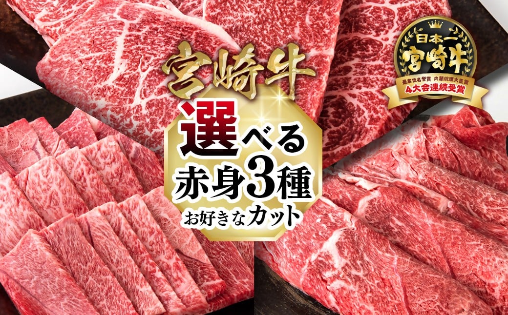 
            【選べる内容】宮崎牛 赤身スライス・焼肉 ・ステーキ 600g A4～A5等級 ミヤチク すき焼き用 牛肉 焼肉 しゃぶしゃぶ  鉄板焼肉 ステーキ  ＜1.2-72＞
          