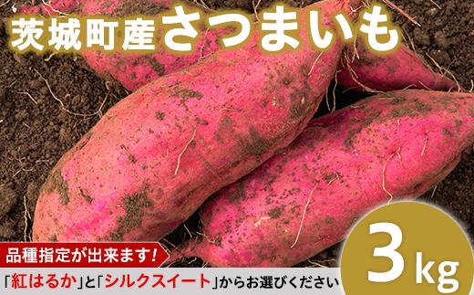 
234茨城町産さつまいも3kg（紅はるか・シルクスイート）【2022年12月～2023年1月頃発送予定】
