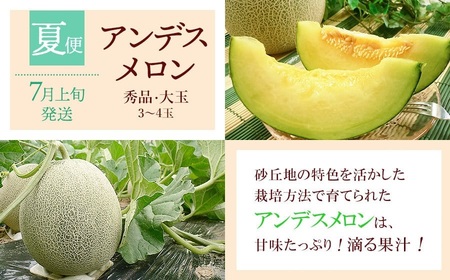 【令和8年産先行予約】 鶴岡から春夏秋のフルーツ定期便【3回お届け】山形県鶴岡産　株式会社 元青果