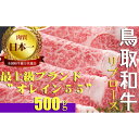 【ふるさと納税】鳥取和牛 最上級A5ランクオレイン55 リブロース スライス（大）約500g 国産 牛肉 和牛 黒毛和牛 ロース