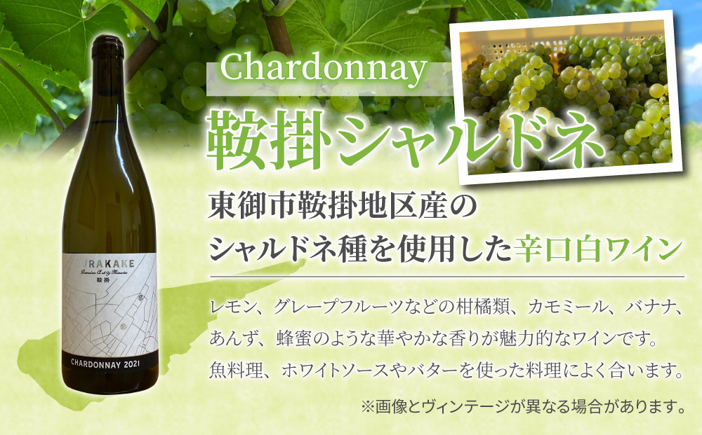 ※画像とはヴィンテージが異なる場合がございます