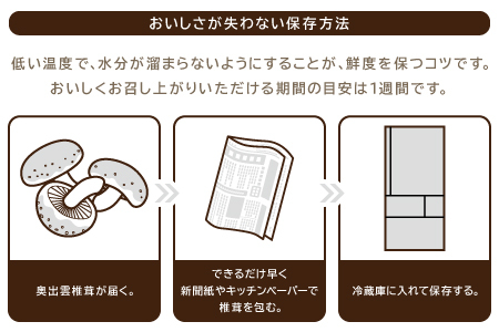 奥出雲椎茸「雲太」不揃い 1kg【椎茸 生しいたけ 12枚 15枚 18枚 肉厚 収穫直後 新鮮 菌床栽培 国産 きのこ キノコ 野菜 料理 食品 プレゼント 贈り物 ギフト】