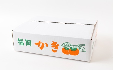 【先行予約】伊藤園 冷蔵富有柿 （2Lサイズ） 9玉～11玉 約3kg 【2025年12月中旬から12月下旬出荷予定】 ／ 富有柿 柿 果物 フルーツ くだもの うきは市