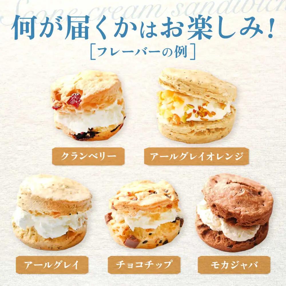  スコーンクリームサンド アソートセット 10P 多治見市/famfam スコーン 洋菓子 個包装 詰め合わせ 詰合せ おまかせ スイーツ デザート クリーム 焼き菓子 セット 朝食 おやつ ティータ