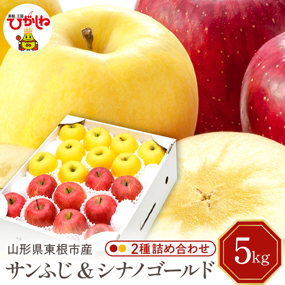 【2026年産】りんご サンふじ&シナノゴールド 詰め合わせ 5kg 秀品 化粧箱入り 山形県 東根市 東根農産センター提供 hi027-209-r8