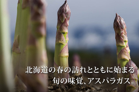 【令和8年産先行予約】 アスパラガス Lサイズ 2kg アスパラガス  [024-59]