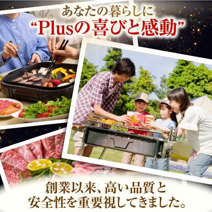 【全12回定期便】【A4~A5】長崎和牛焼肉用　500g【株式会社 MEAT PLUS】[QBS035]
