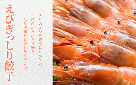 えびぎっしり餃子 60個 焼餃子 水餃子 中華 ぎょうざ ギョーザ お弁当 おかず F4H-0217