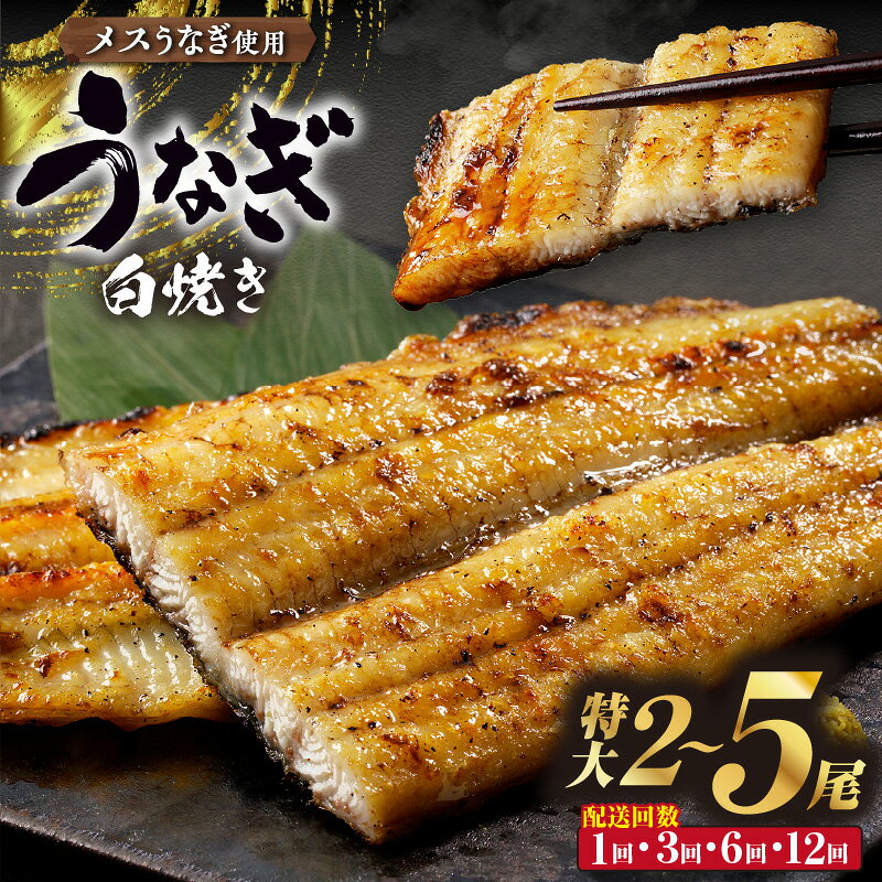 【ふるさと納税】高評価☆三河高浜産三代目 養鰻家 の白焼きうなぎ《 特大 》【選べる尾数とお届け回数（1回・定期便）】タレ付 めす鰻 碧海うなぎ マツコの知らない世界 愛知県産 白焼き 特大うなぎ 国産 うなぎ 肉厚 鰻 国産鰻 高級