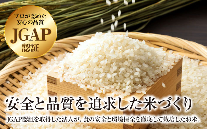 【令和7年産米】こしひかり 5kg【スピード発送】米 白米 お米 ご飯 コシヒカリ 三次市/アグリ君田 [APDC001]