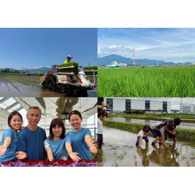 ふるさと納税 伊勢原市 【毎月定期便】合計30kg 精米 てんこもり 5kg 加藤さんちのうんめぇ米全6回 |  | 03