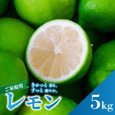 ふるさと納税 松山市 【順次発送中】 グリーンレモン 約5kg 家庭用 訳あり 防腐剤、ワックス不使用