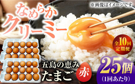 【10回定期便】【箱入り】五島の恵みたまご M-Lサイズ 25個入 / 卵 赤玉子 五島市 / 五島列島大石養鶏場[PFQ047]  玉子 タマゴ 鶏卵 希少 五島列島