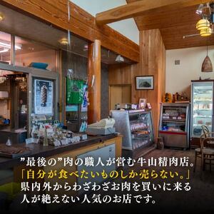 自家製 煮込み ハンバーグ 国産牛 国産豚 180g×4パック 720g 個包装 湯煎可 温めるだけ 簡単 レンジ 牛山精肉店 特製 手作り セット 沼津 静岡