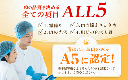 【12回定期便】A5ランク ヒレステーキ 200g×2枚 / ステーキ[AFCH004]