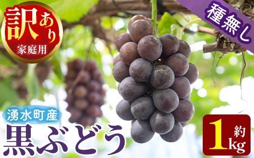 
                  y601 ≪期間限定！2026年8月中旬以降順次発送≫  訳あり！黒ぶどう(約1kg) 国産 九州産 鹿児島産 湧水町 巨峰 ピオーネ クインニーナ BKシードレス 葡萄 ぶどう ブドウ 果物 くだもの フルーツ 旬 訳アリ ワケあり 家庭用 種無し 種なし 【大倉野 隆】
                