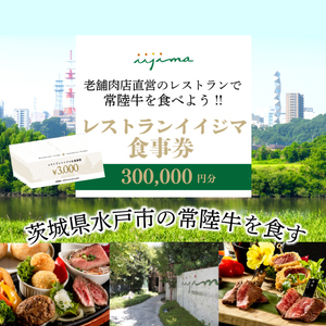 レストラン 食事券 水戸 茨城県 創業45年 レストランイイジマ 常陸牛 ディナー ランチ クーポン 寄付 100万円 30万円分 肉のイイジマ（DU-139）