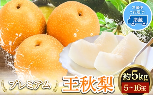 
										
										【2024年先行予約】プレミアム 王秋梨 約5kg (5~16玉) 高間商店《2024年11月上旬から2025年1月上旬頃出荷》鳥取県 八頭町 梨 なし ナシ 果物 フルーツ 厳選 先行予約 ふるさと納税 返礼品 国産 高間商店 甘い 王秋梨 高糖度 冷蔵便 ---yazu_tkm_15_5kg---
									