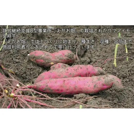 『えがお畑』で採れたサツマイモ金時芋 2.5kg