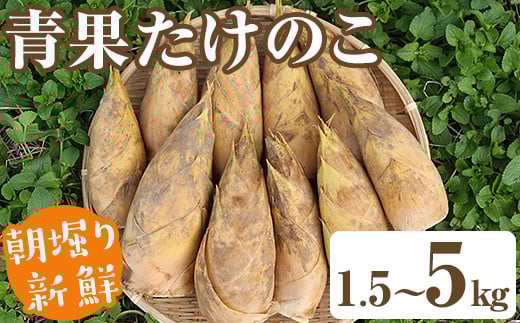
            ＜先行予約受付中！2026年2月下旬以降順次発送予定＞＜内容量が選べる！＞朝堀り青果たけのこ(約1.5～5kg) 国産 新鮮 タケノコ 青果 竹の子 筍 野菜 春 旬 期間限定【上野食品】
          