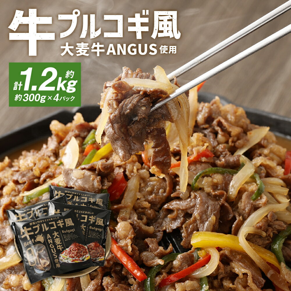 【ふるさと納税】大麦牛ANGUS使用 牛プルコギ風 4パックセット 300g×4パック 計1.2kg プルコギ 牛 牛肉 アンガス牛 惣菜 おかず 時短 冷凍 北海道 北広島市加工 送料無料