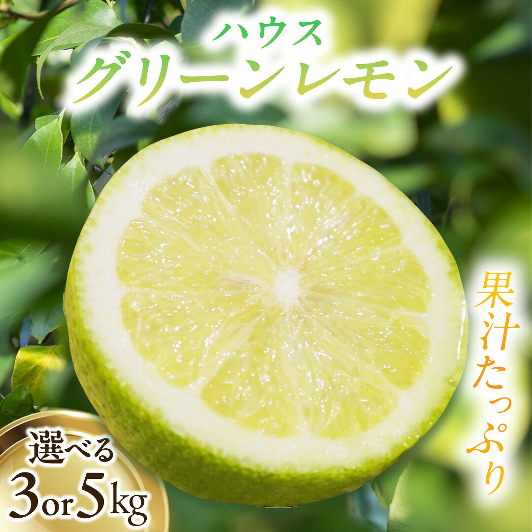 【ふるさと納税】ハウスグリーンレモン 3kg/5kg 選べる内容量【2026年8月以降発送】 皮まで丸ごと食べられる ワックス不使用 防腐剤不使用 安心 広島 大崎上島 せとうち 檸檬 柑橘 ギフト 贈答 ビタミンC クエン酸 岩崎農園