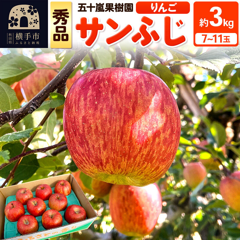 【ふるさと納税】【先行受付】12月中旬より発送 サンふじ【秀品】約3kg（7〜11玉）りんご 林檎 [先行予約 サンふじ サンフジ 林檎 リンゴ りんご 秀品 フルーツ 果物 秋田県 横手市]
