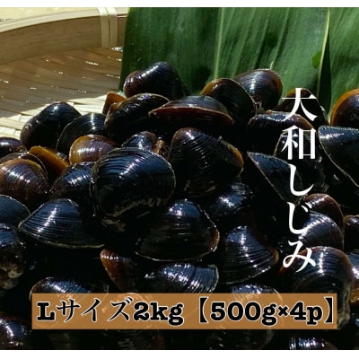 島根県宍道湖産　冷凍大和しじみLサイズ2kg(500g×4)セット(砂抜き処理済)