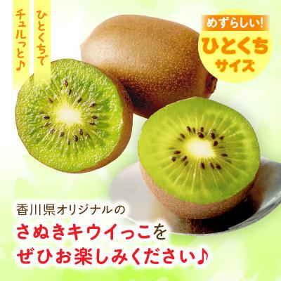 ふるさと納税 三木町 小さくて可愛らしいキウイ　さぬきキウイっこ　約800g |  | 01