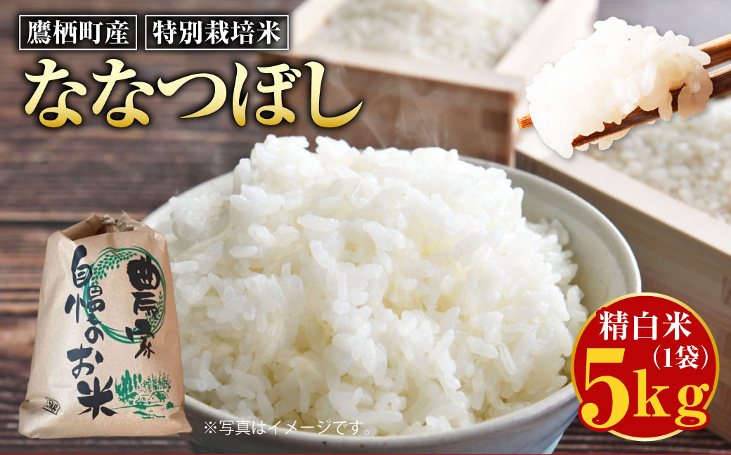 
            【令和7年産】 ななつぼし （精白米） 5kg 北海道 鷹栖町 たかすのおむすび 米 コメ ご飯 精白米 お米
          