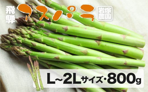 《2026年 先行予約》飛騨産おいし～いアスパラガス（2026年5月上旬〜8月末発送） L 〜 2L サイズ 800g 岩塚農園 アスパラ 太い 旬 春 夏 野菜 BBQ 飛騨 あすぱら やさい 10000円 あすぱらがす syun69