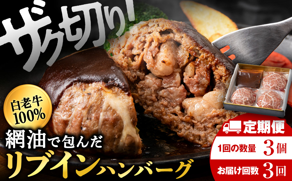 【3ヶ月定期便】白老牛　中おちプレミアムハンバーグ200g×3個【かねかん】
