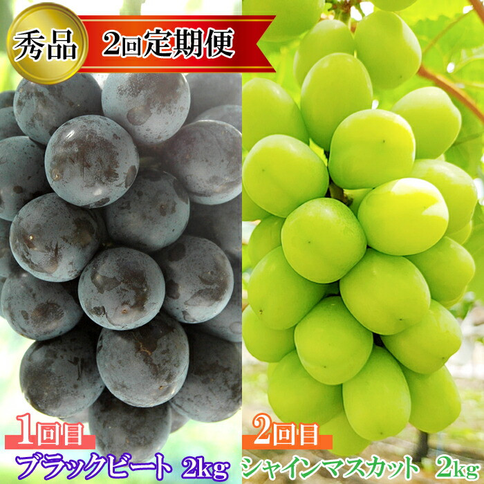 【2回定期便】【農家直送】厳選シャインマスカットとブラックビートの定期便