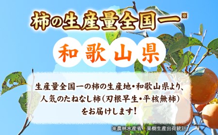 【先行予約】和歌山産のたねなし柿約7.5kg L~2Lサイズおまかせ 32～36玉【サイズお任せ/秀品】青秀以上《10月上旬-11月末頃出荷予定》 和歌山県 紀の川市 紀の川市厳選館 柿 カキ かき 