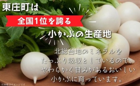 東庄町の小カブが入った「まんまるおでん」おでん＆カレー風味セット　各1袋900g　計2袋