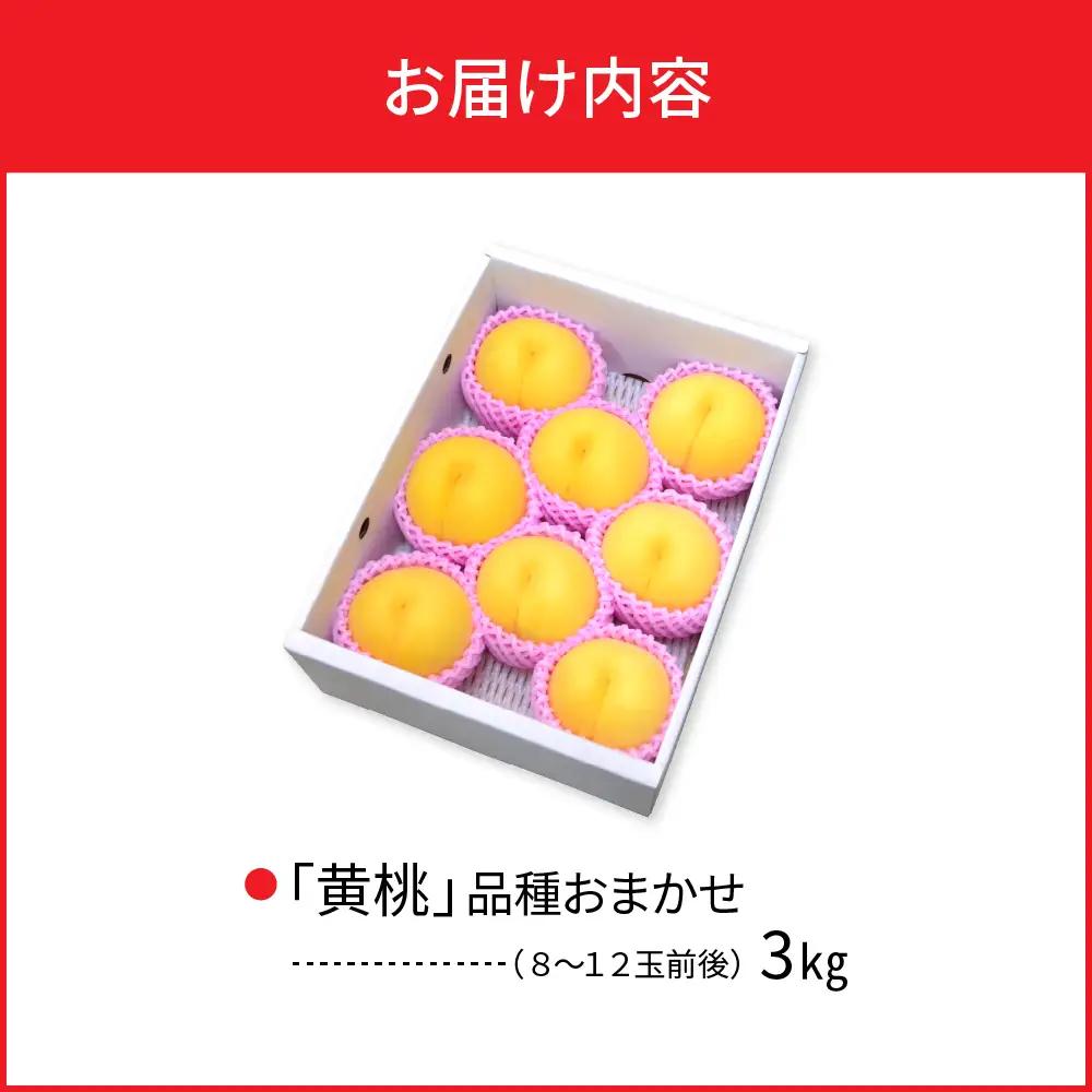 桃 黄桃 3kg 品種おまかせ 8-12玉 令和8年産 桃 フルーツ
