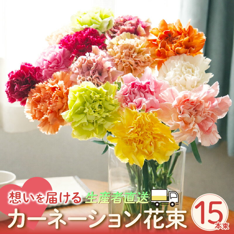 【ふるさと納税】＼ 母の日までにお届け ／想いを届けるカーネーション花束 15本束【生産者直送】 ※4月20日までに決済完了で母の日までにお届けします※ カーネーション 花束 お母さん 花 フラワー 母の日ギフト 贈り物 フラワーギフト 送料無料 T164