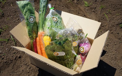 化学合成農薬等不使用で栽培！安心安全な「ほんまもん野菜」を8品目お届け♪