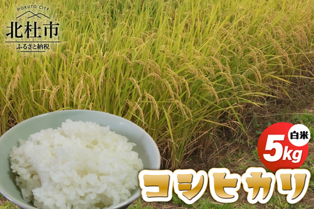 【令和7年度新米】コシヒカリ白米5kg  新米 こめ 精米 1袋 ブランド米 モミで保存 香り 甘い 粘り 山梨県 北杜市 