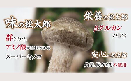 松太郎ギフト（生詰め合わせ）【夏季冷蔵便対応】