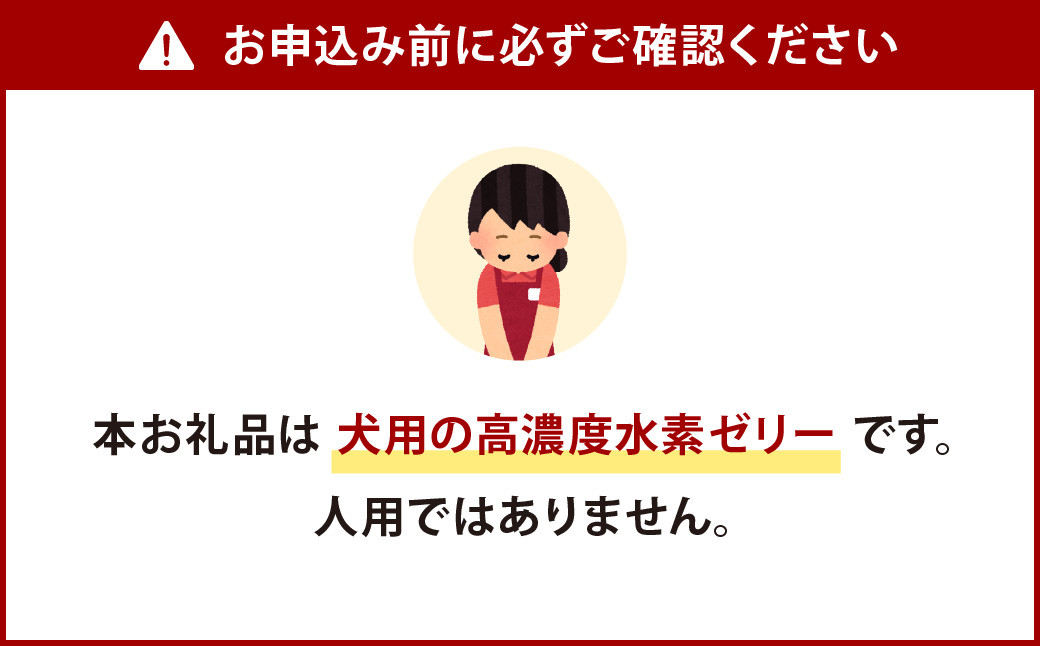 高濃度 水素 ゼリー 犬用 31本 入り ご飯 ごはん おやつ トッピング 持ち運び 携帯 散歩 ペット 犬