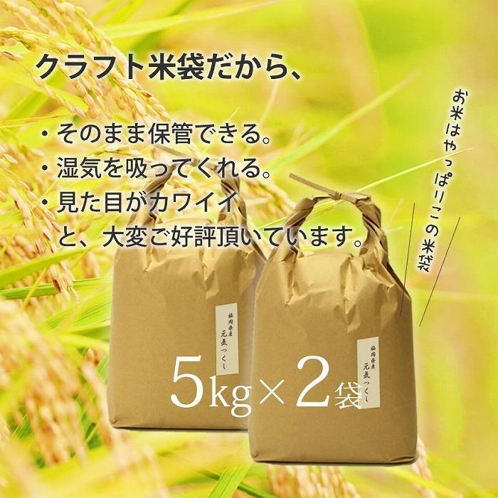 福岡県産【特A】評価のお米「元気つくし」5kg×2袋 [10kg] [玄米]