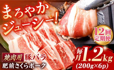 【12回定期便】肥前さくらポーク バラ肉 焼肉用 総計14.4kg【一ノ瀬畜産】[NAC606]